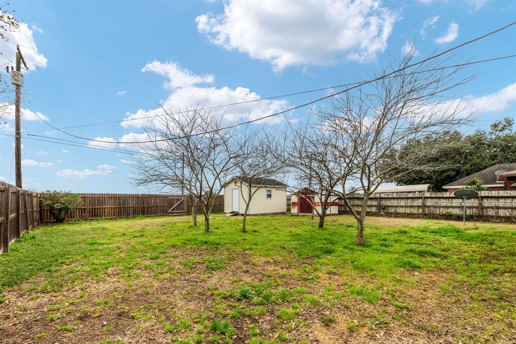 Very large fully fenced backyard with plum trees